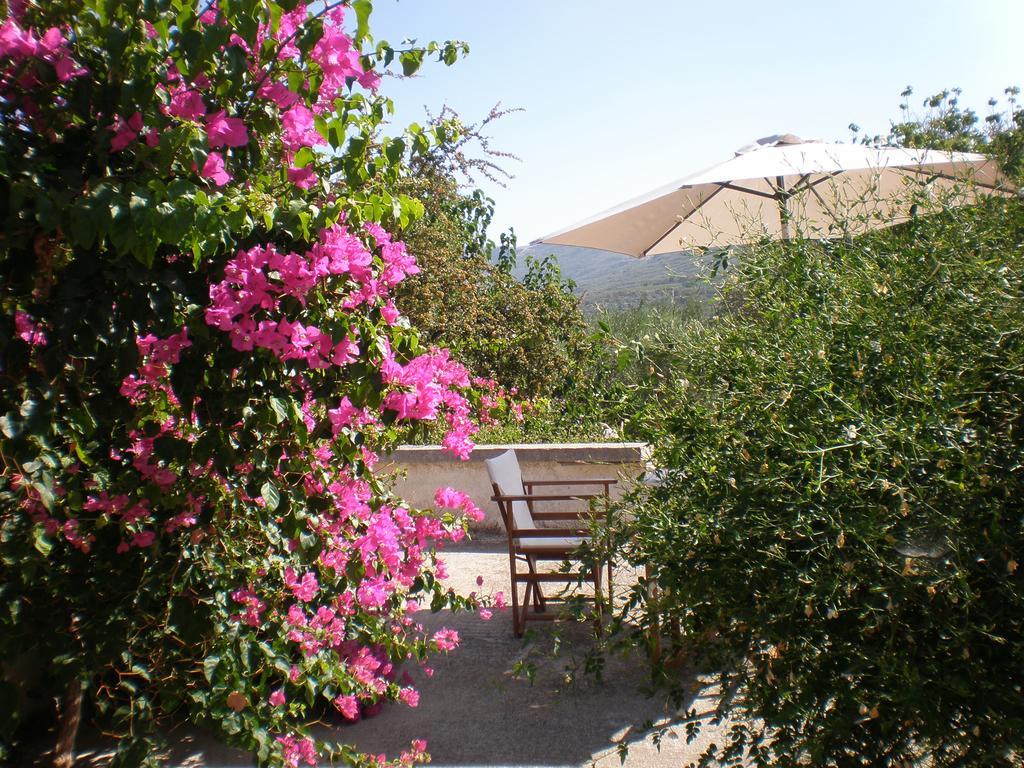 Villa Ouranos กิสเซมอส ภายนอก รูปภาพ